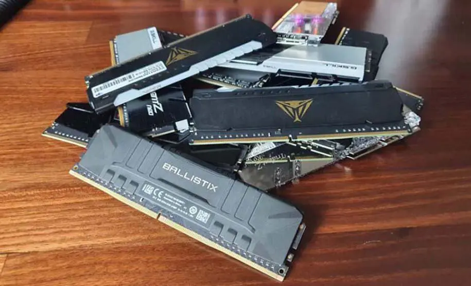 ram
