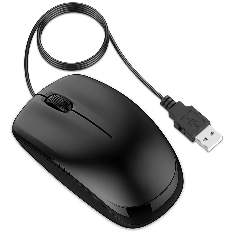 mouse