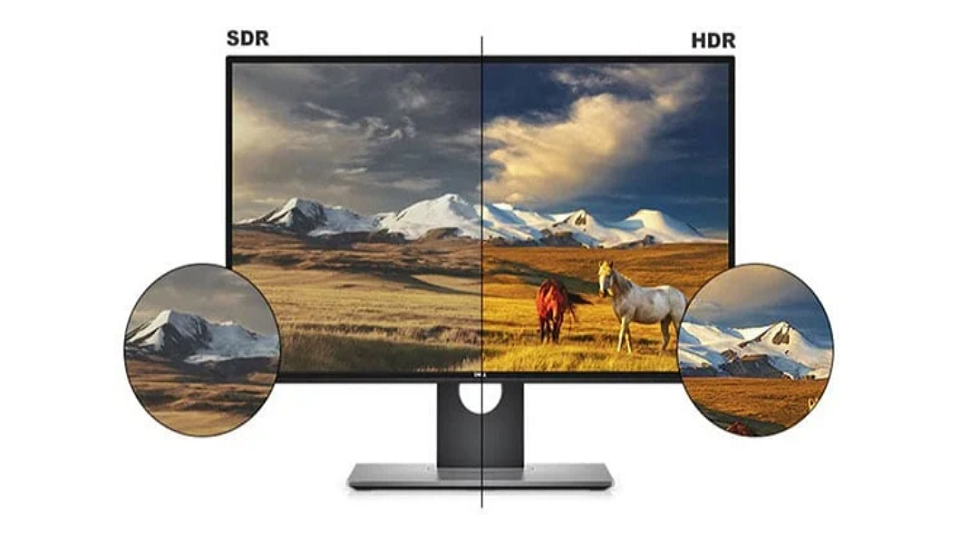 ازتوضیح در مورد HDR مانیتور تا انواع پنل (IPS,TN,...)